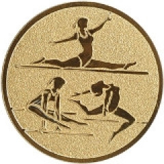 Redskabs gymnastik emblem (D2)