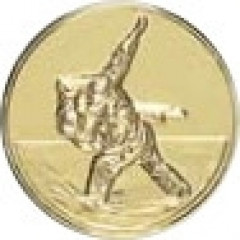 Judo emblem (E7) 