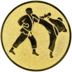 Karate emblem (F2)