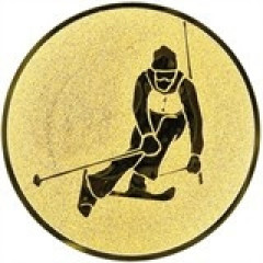 Skisport emblem (H6)