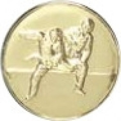 Taikwondo emblem (I3)