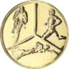 Triathlon emblem (I5)