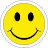 Smiley emblem (K4)